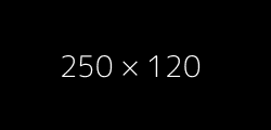250 x 120