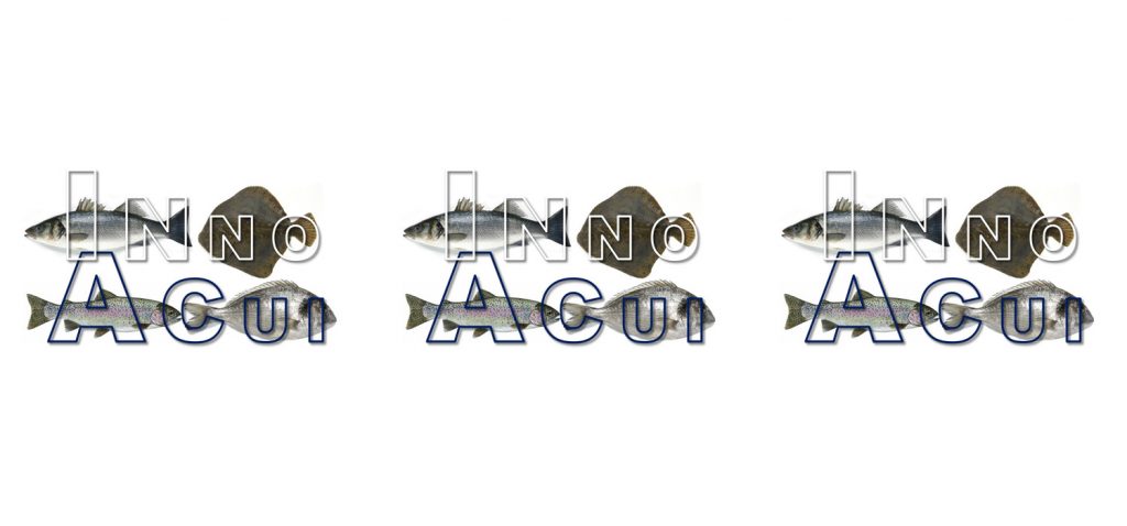 La UCA participa en proyecto innovador de APROMAR para mejorar bienestar animal en granjas de acuicultura