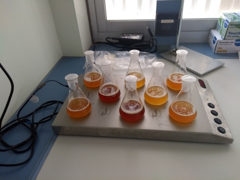 Diseñan un método que analiza con más precisión los compuestos olorosos de la cerveza para mejorar su calidad