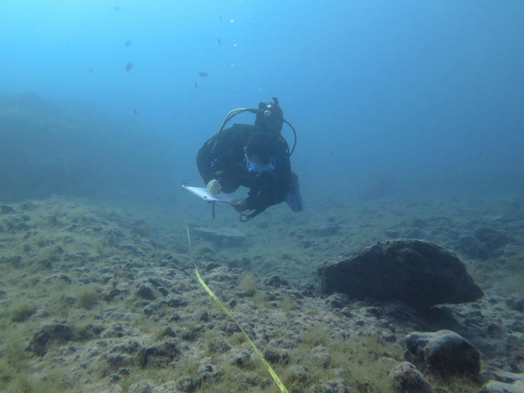 Desarrollan un índice que mide la eficacia de las reservas marinas para proteger la biodiversidad