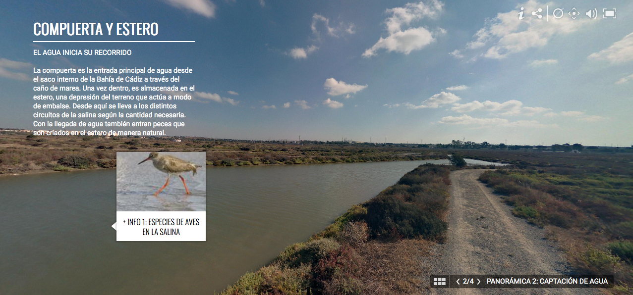 La Universidad de Cádiz pone a disposición de la ciudadanía una visita virtual por la salina ‘La Esperanza’