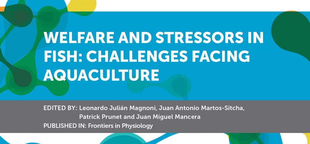 Investigadores de la UCA editan un libro electrónico sobre el bienestar y los agentes estresantes en los peces cultivados