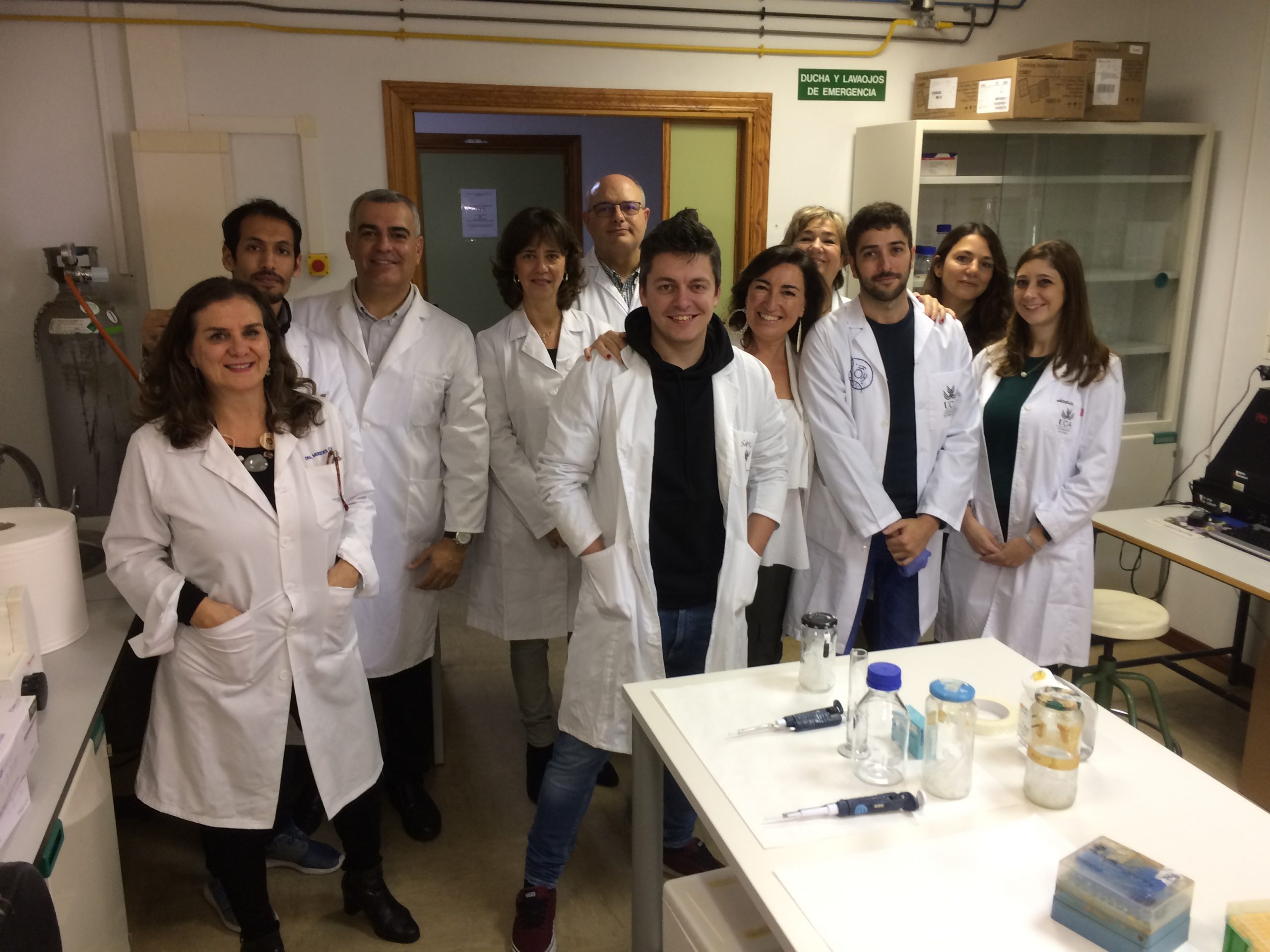 Investigadores de la UCA ensayan con éxito en estudios preclínicos una nueva molécula para la regeneración neuronal