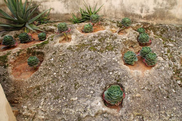 La UCA se suma a las actividades virtuales puestas en marcha para celebrar una nueva edición del Geolodía