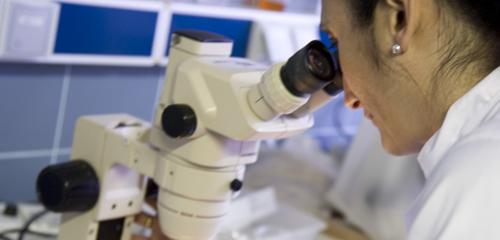 La UCA incorporará a 109 jóvenes investigadores a través de una decena de convocatorias públicas