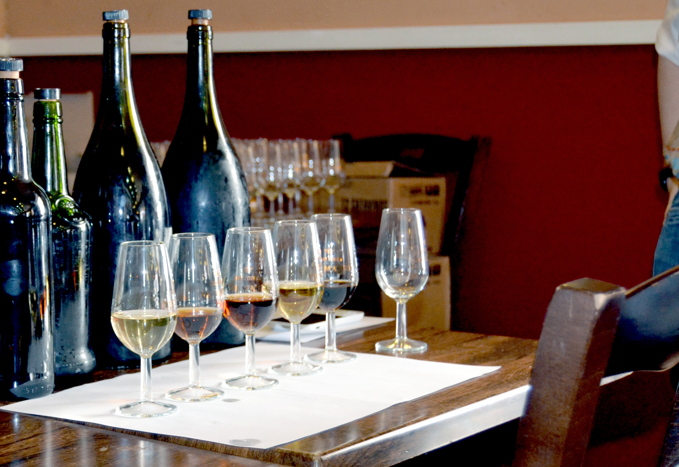 Un estudio de la UCA muestra los hábitos de consumo y la percepción de los jóvenes sobre el vino de Jerez