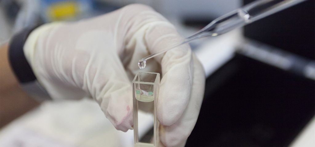 La UCA lanza 29 nuevos contratos para la incorporación de jóvenes investigadores