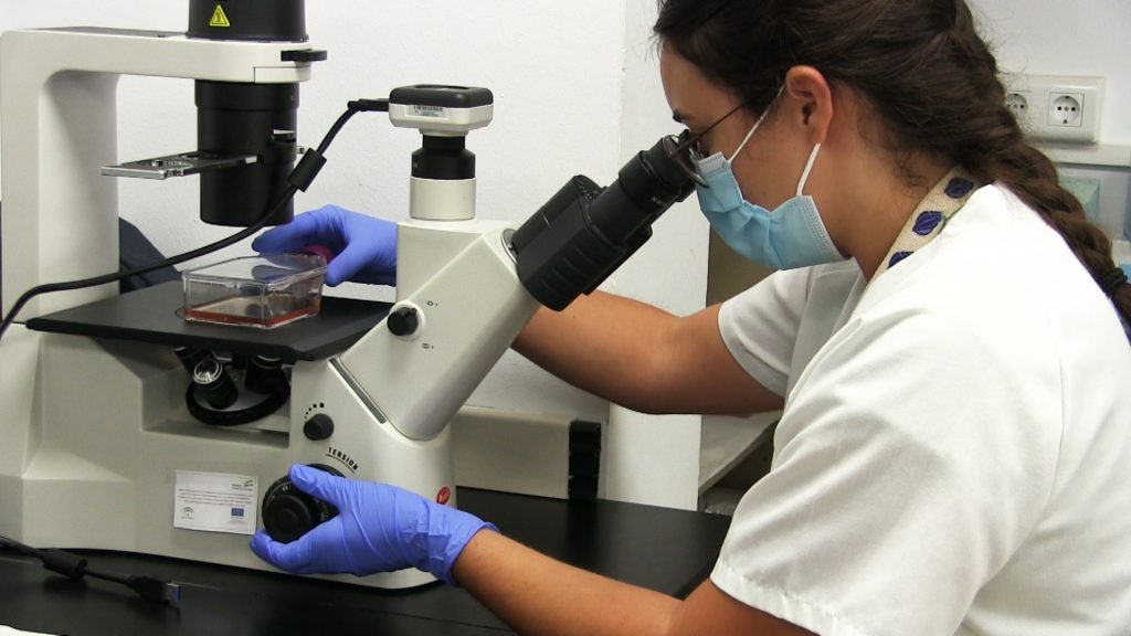 Investigadores de la UCA coordinan un estudio multicéntrico para detectar y prevenir el contagio de Covid-19 entre el personal sanitario