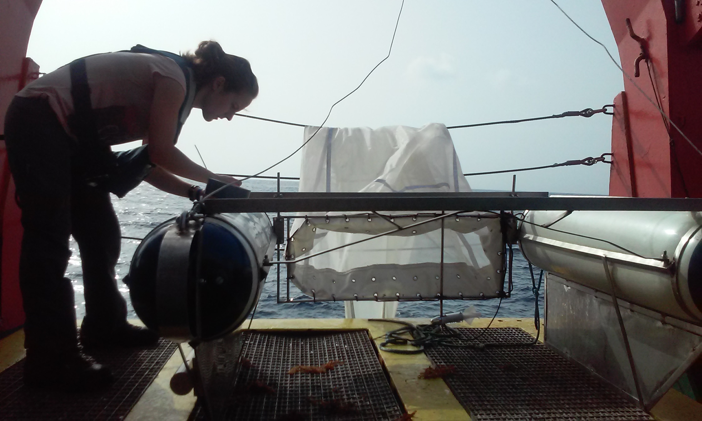 Desarrollan una guía para clasificar los plásticos oceánicos por su color