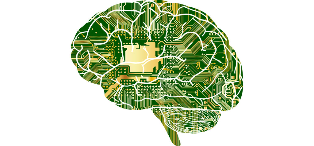 Investigadores de la UCA y la US hallan una molécula que ayuda a la regeneración de neuronas y mejora la memoria y el aprendizaje