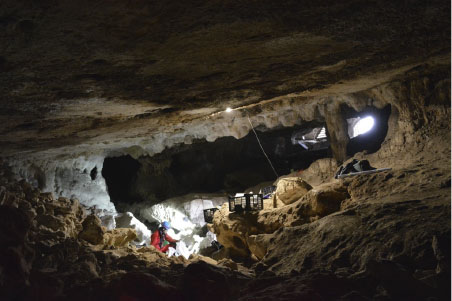 Investigadores de la UCA participan en el hallazgo del genoma humano más antiguo del sur de la Península Ibérica