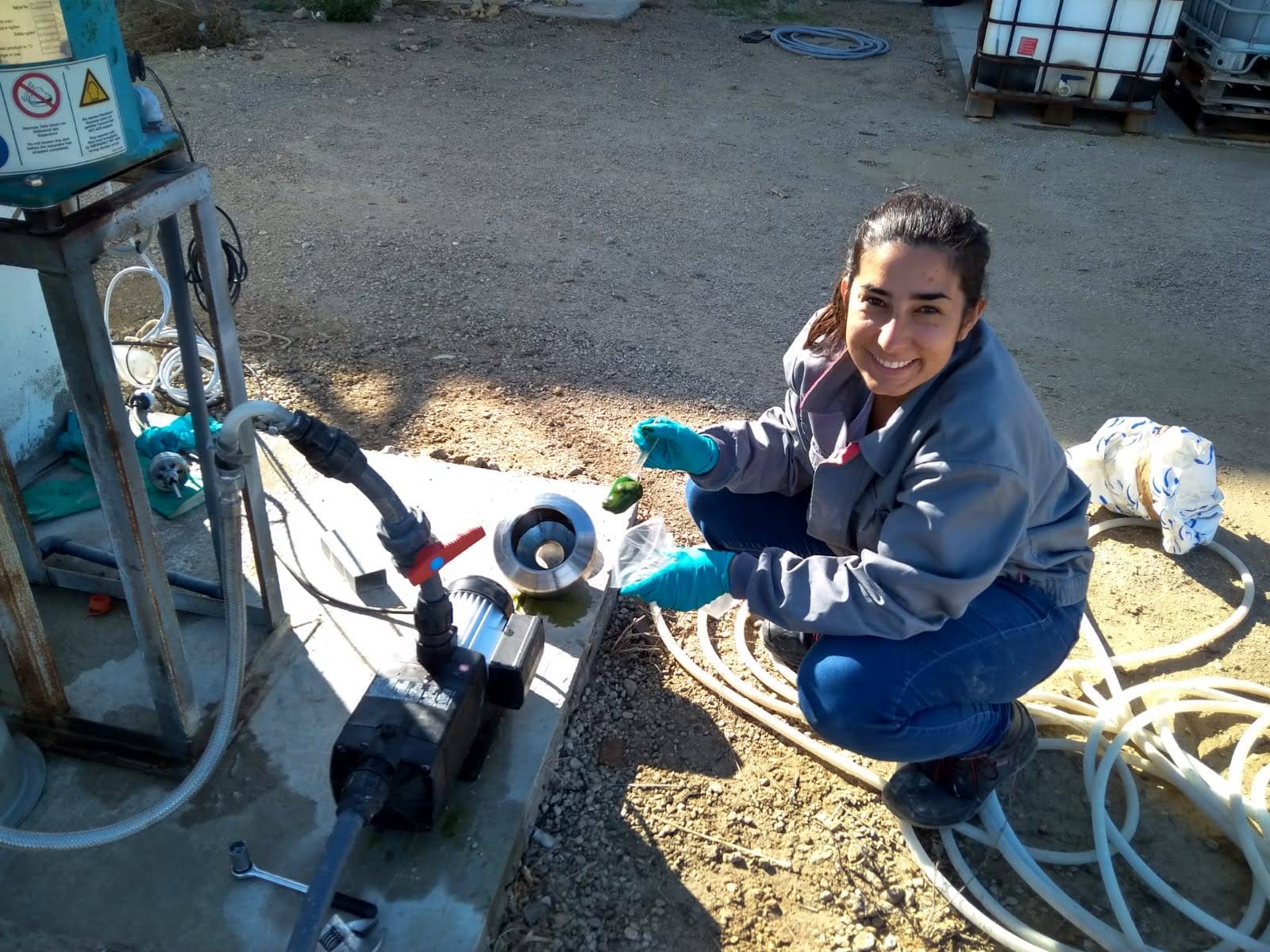 Científicos de la UCA crean un sistema con microalgas que combina el tratamiento de aguas y la producción de pienso acuícola