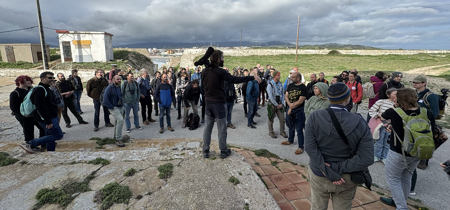 La UCA reúne a investigadores de 27 países en Tarifa para impulsar la conservación de las aves migratorias