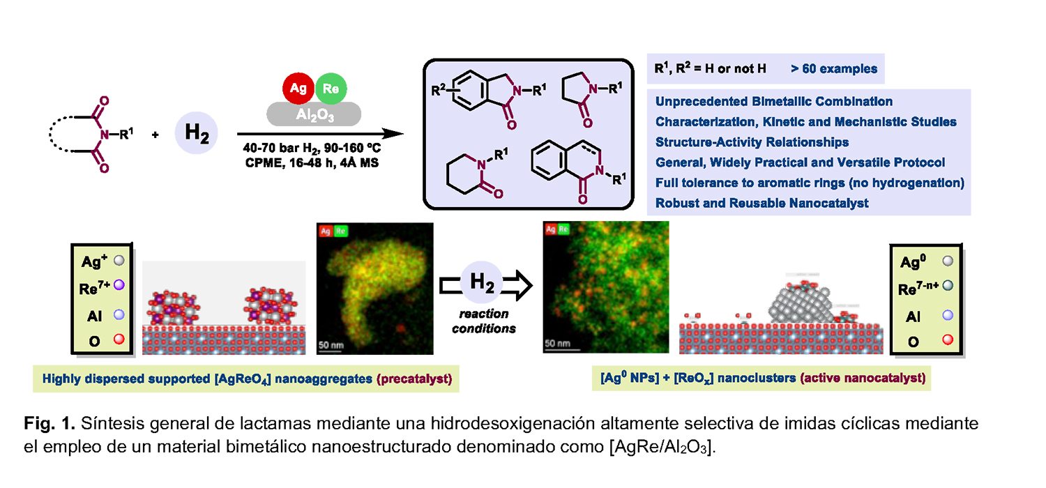 La UCA participa en el desarrollo de un nuevo catalizador que obtiene de forma sostenible compuestos clave para la industria farmacéutica