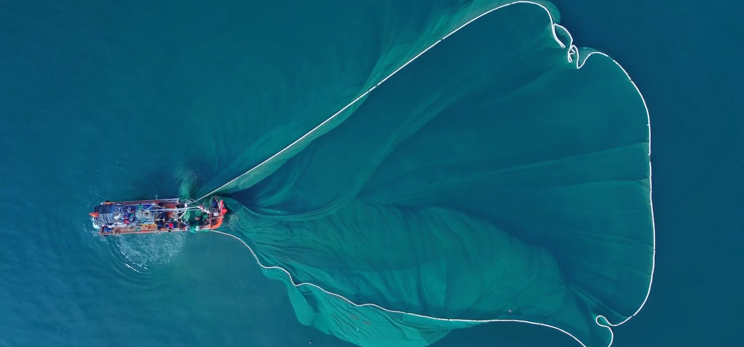 El proyecto ‘ECOFISH’ de la UCA, reconocido en la SailGP como ejemplo internacional de sostenibilidad marina