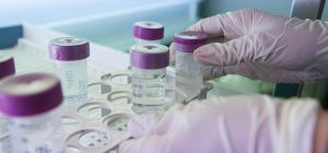 Catorce investigadores de la UCA figuran entre los científicos de mayor impacto internacional seg...
